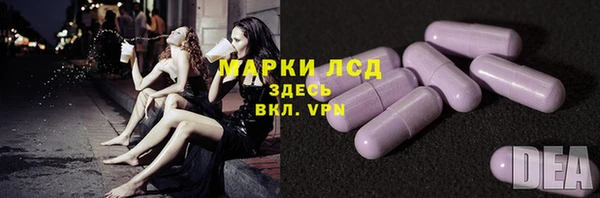 стаф Белокуриха