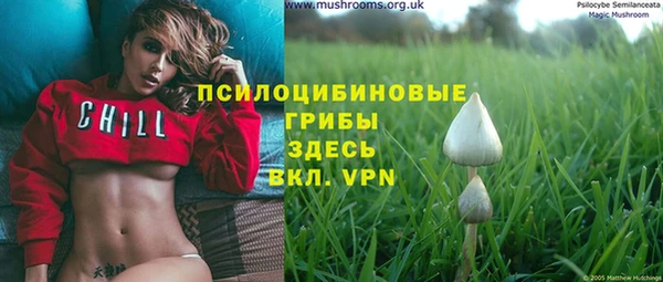 mdpv Балабаново