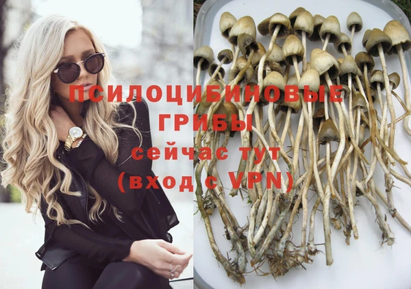 спайс Беломорск