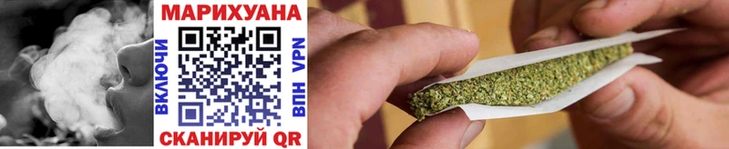 Бошки марихуана Amnesia  купить наркотик  Магас 
